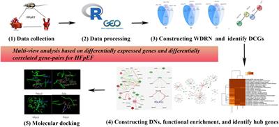 Multiple-Tissue and Multilevel Analysis on Differentially Expressed Genes and Differentially Correlated Gene Pairs for HFpEF